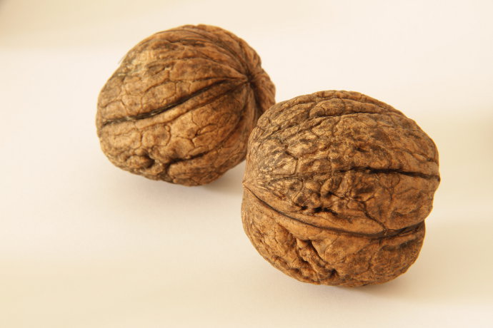 Image taken with optical zoom